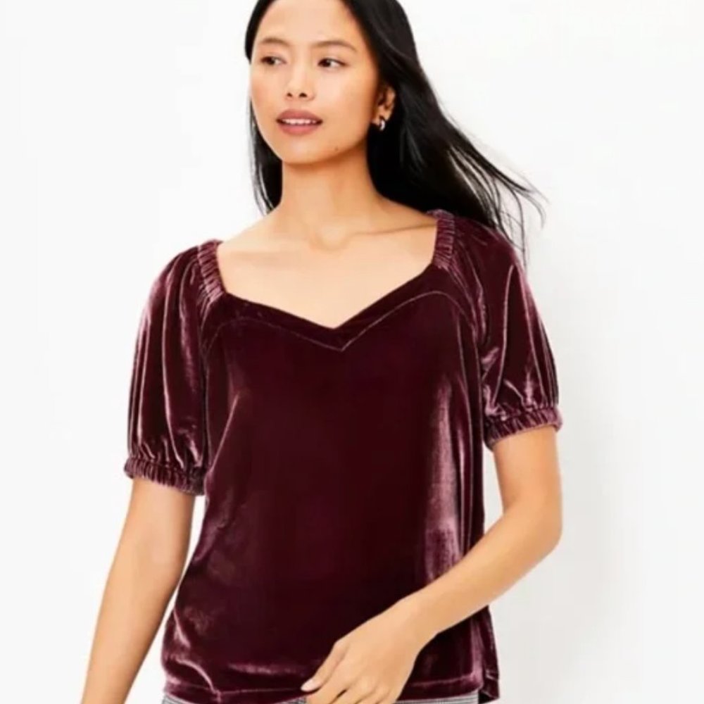 Loft Velvet Puff Sleeve Top